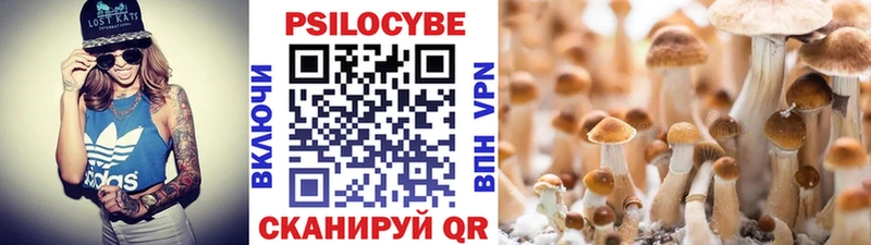 Галлюциногенные грибы MAGIC MUSHROOMS  Задонск 
